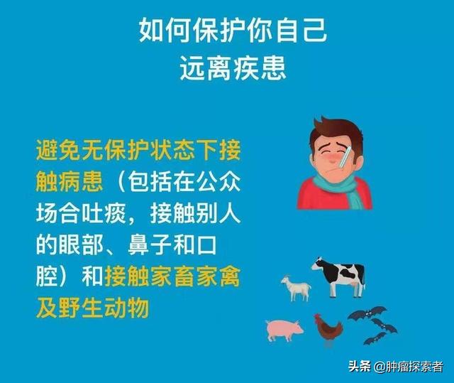 宠物健康之家:家里的宠物会成为传染源么，还能正常遛狗么？ 宠物健康检查表