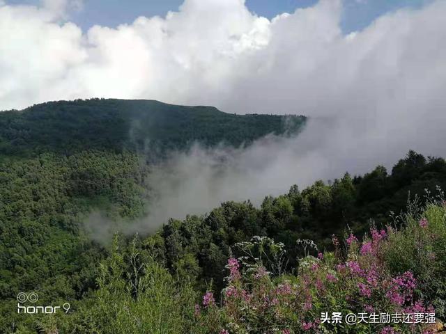 斗鱼雪纳瑞夫人视频:一个女人没有自己的生活空间怎么办？