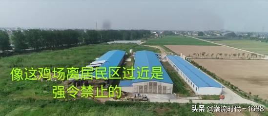 养殖场牛用b超多少钱:我要建一个小型养殖场养牛的20头建牛舍要多少钱？