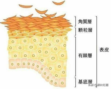 去角质对痘痘有用吗,男生用去角质凝胶效果怎么样？