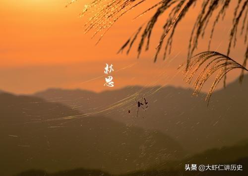 张籍的诗:复恐匆匆说不尽诗人想说什么？