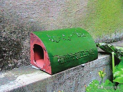 家家猫:家家猫电视购物 家里可以养猫吗？有什么禁忌说法吗？