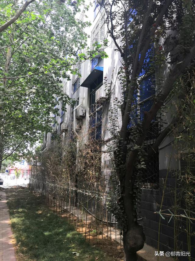 夫妻不和会不会影响财运？