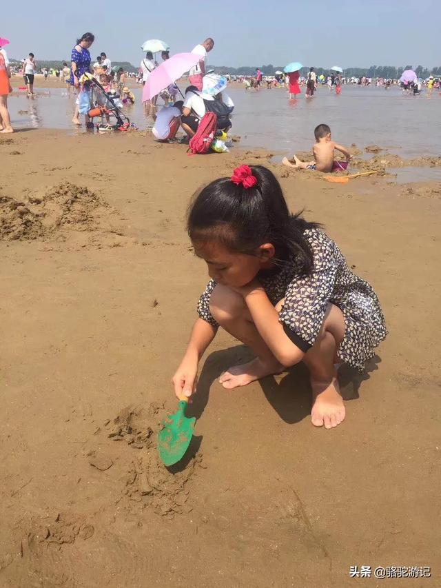 夏威夷海滩日光浴:夏天想带四岁孩子去海边玩，哪里或者哪个城市比较适合？