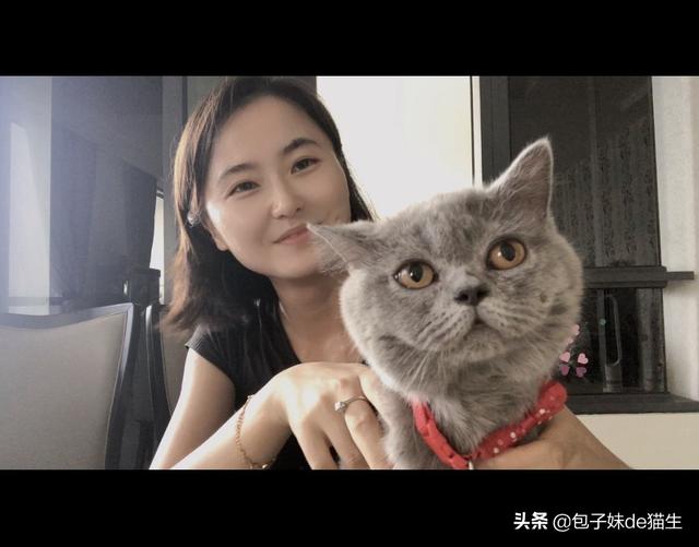 你们的猫叫什么名字有多可爱(猫的名字叫什么好听可爱)