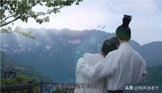 鹤唳华亭剧情介绍:《鹤唳华亭》电视剧谁演的最好，为什么