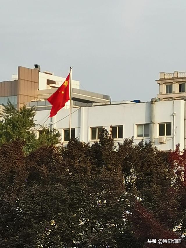 从市局领导到市政府秘书长算提拔吗？