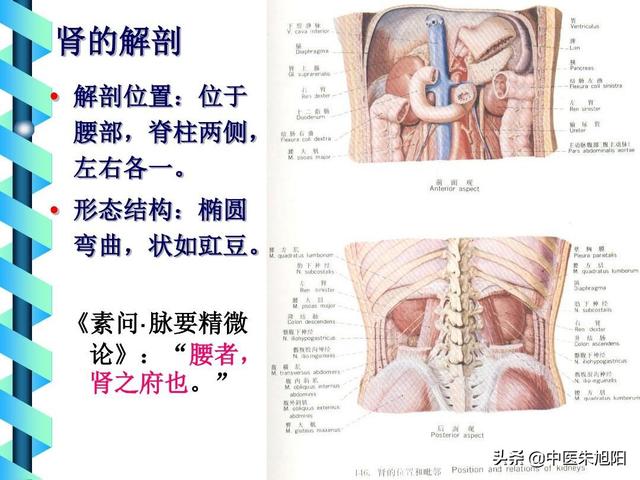 补肾疯子朱教授，肾阴虚与肾阳虚的区别与共同点，分别会造成什么后果