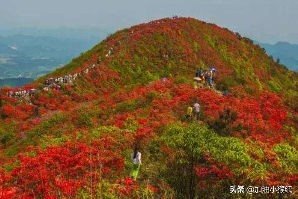 深圳有哪些好玩旅游景点？