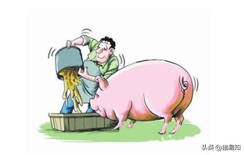 养一群微型猪是什么体验:养猪赚钱吗？小型养殖，十几只的样子。一年能赚多少钱？ 微型猪有什么特点