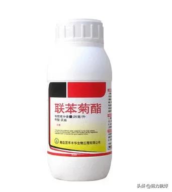 玉米地蚜虫怎么防治:联苯菊酯可以防治玉米上的蚜虫钻心虫吗？