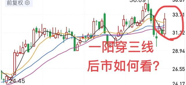 都有哪些“一手好牌被打烂”的<a href=https://maguai.com/list/99-0-0.html target=_blank class=infotextkey>明星</a>