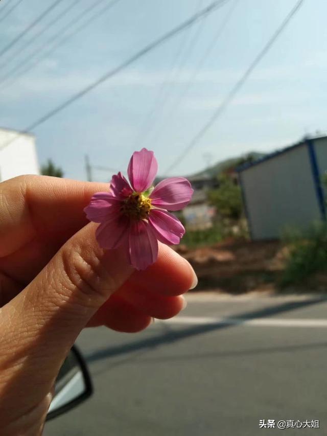 男生对女生主动是否要有个度？