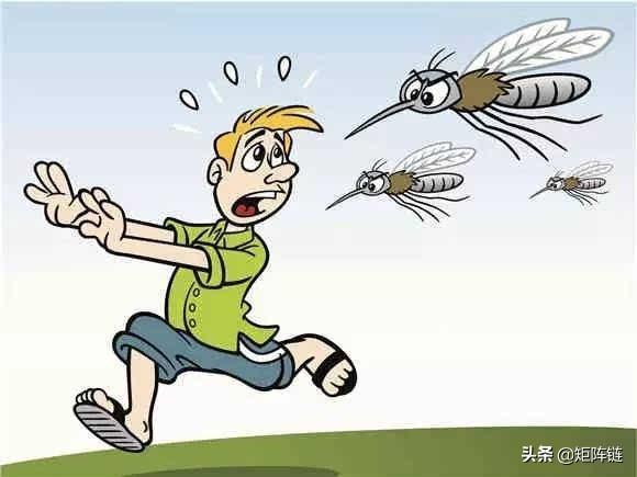 华丽巨蚊吸血吗:蚊子有没有分雌雄？雄的会产卵吗？为什么？