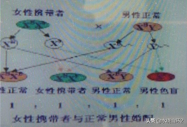 伴x隐常见遗传病:某些家族基因传男不传女的说法科学吗？