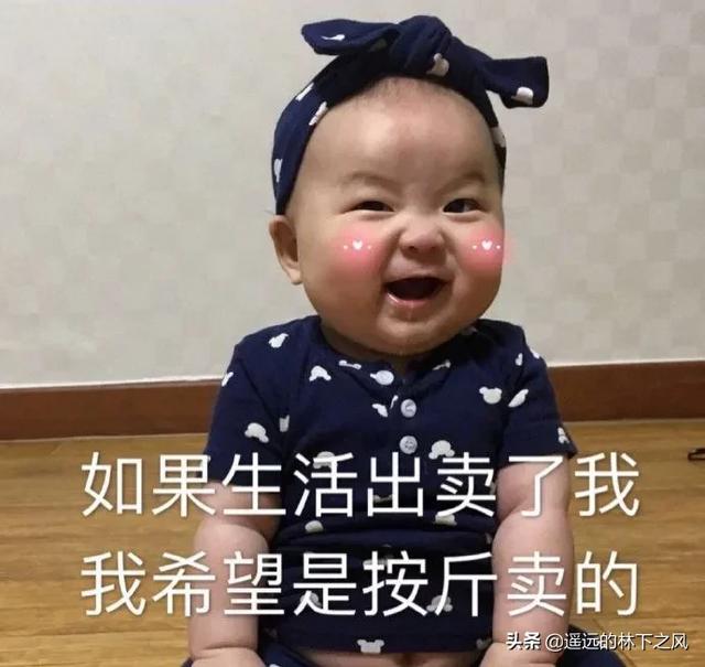 幽默有哲理的句子有哪些？