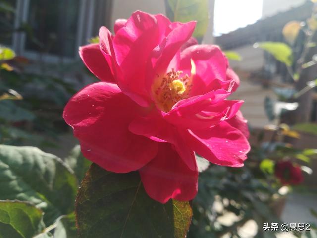绩效考核是考核什么呢？