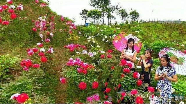 洛阳纸贵:“洛阳纸贵”说的是什么？和洛阳有什么关系？