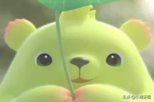 熊童子服盆:熊童子服盆期怎么浇水 多肉植物熊童子的养殖方法和注意事项？