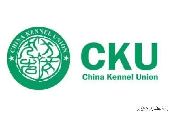 cku官网:血统犬就一定比平常犬好吗？