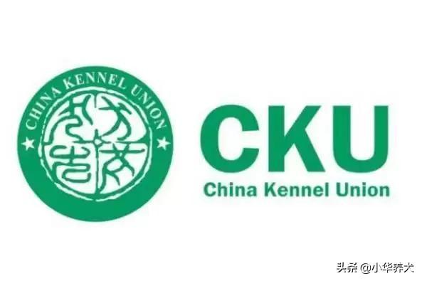 cku金毛俱乐部:双血统金毛一般都在多少钱？