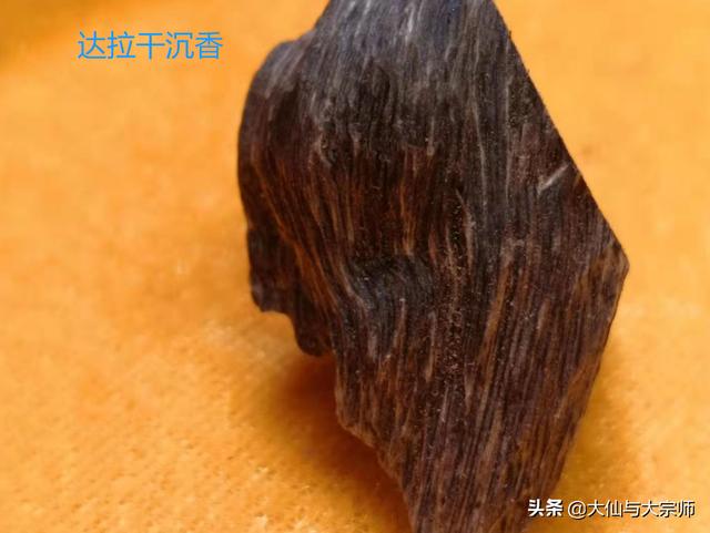 沉香木产地:沉香有哪些产区？都有什么特色？