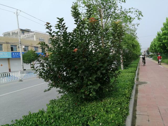 刘奕君一家三口照片:陶虹与家人度假遇车祸伤势严重现身医院，现在陶虹的情况怎样了？