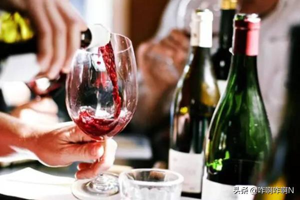 红酒的葡萄品种有哪些，如何区分葡萄酒的葡萄品种
