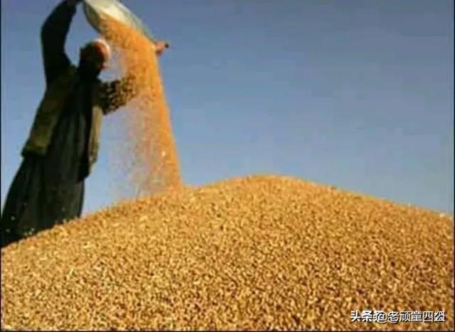 什么食品可以放10年以上还可以吃？插图24