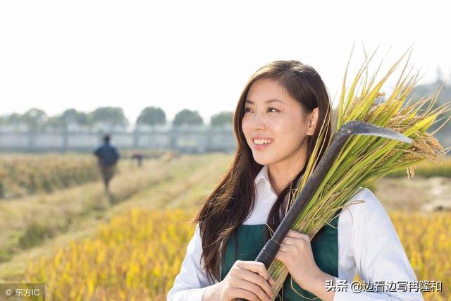 适合女孩子养的中型犬:喜欢中型犬，养什么比较好啊？