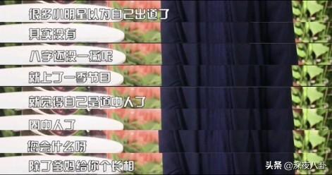 杨丽萍金星吵架:为什么金星胆那么大，谁哪个都敢开涮