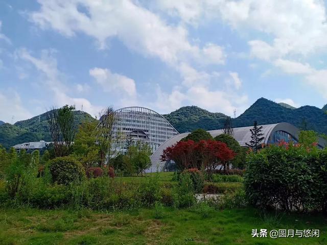 临朐凤凰谷灵异事件:国内夏天哪些地方不热且适合旅游？