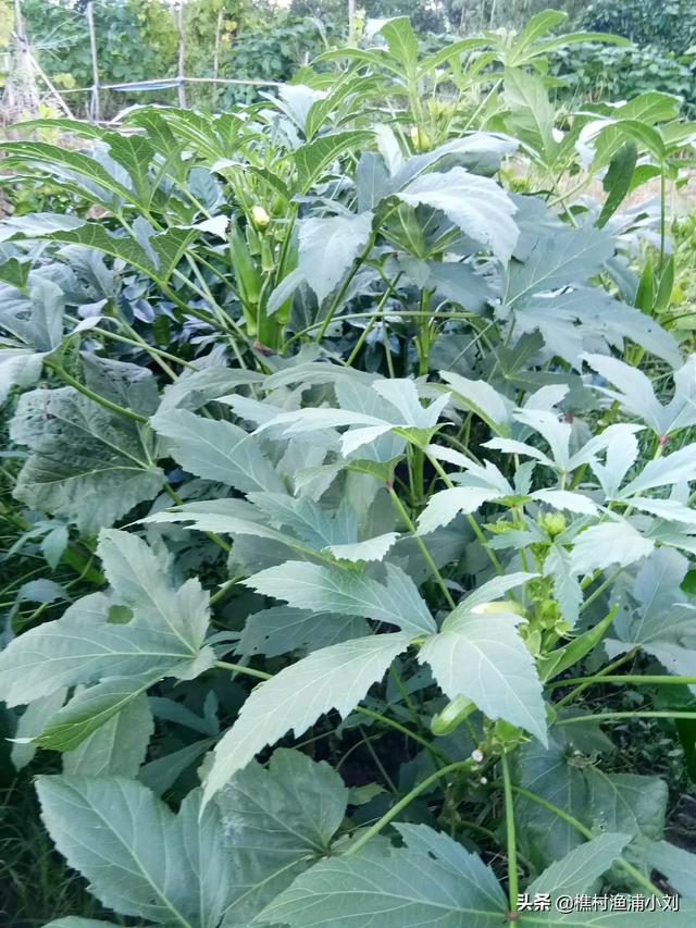 东平银山加油站灵异事件:为什么说泰安是古代真正的鬼城？