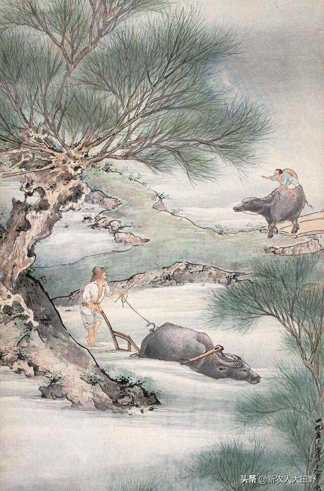 2020年农户种什么能赚钱？