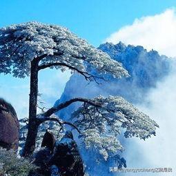 有哪些适合发到朋友圈里的小短句？