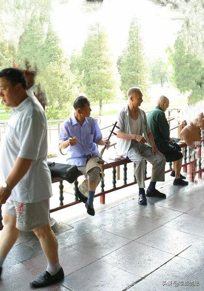 撒莲儿:让爷爷奶奶看孩子学习靠谱吗