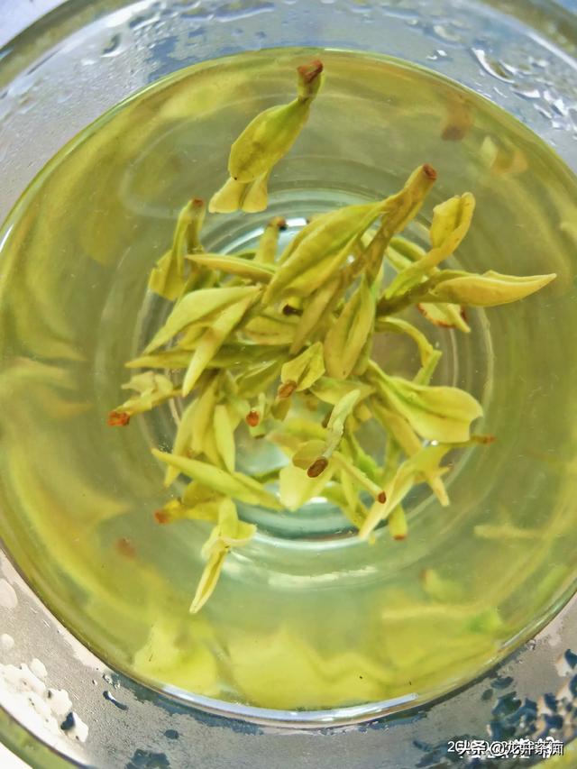 喝绿茶有哪些好处:绿茶什么时候喝比较好，喝哪种