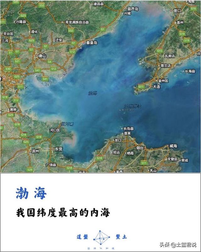 龙趸王:中国四个海哪个海里的海鲜好吃，为什么