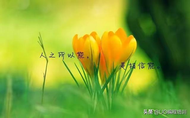 电子商务专业真的有用吗？怎么样？