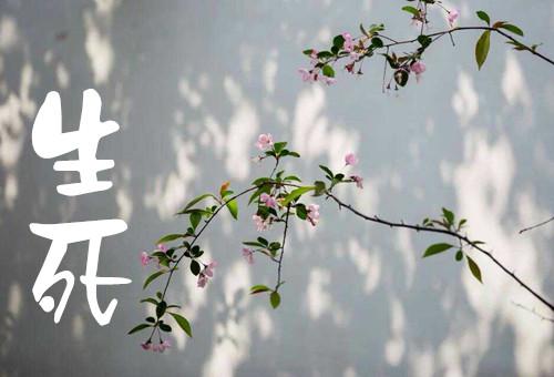 谢大脚是什么病死的:谢大脚去世，霸占网站和社交媒体，这样的社会价值导向合理吗？