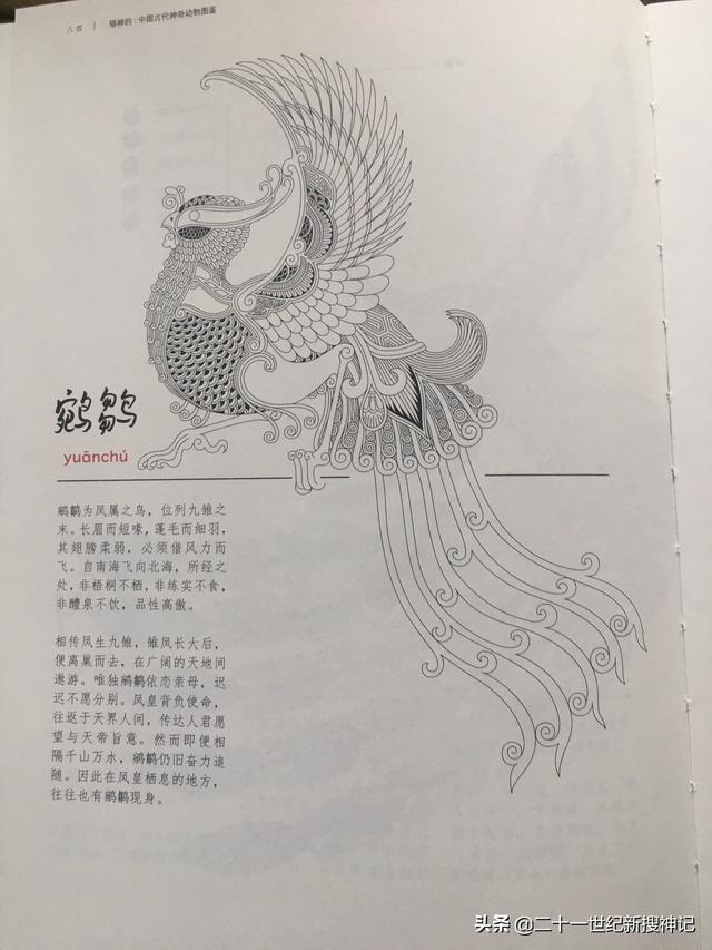 世界上最后一只凤凰长什么样子，古墓里的玉蝉是什么样子的