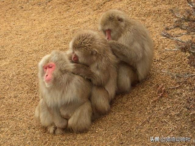 食源性寄生虫病的防御:夏季食源性疾病来袭，如何应对病从口入？
