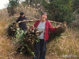 现在农村有些二婚妇女不上班不做家务,喜欢串门聊天,怎么看？