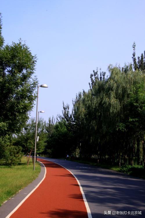 通州大运河森林公园健走方案:北京最适合跑步的公园有哪些？