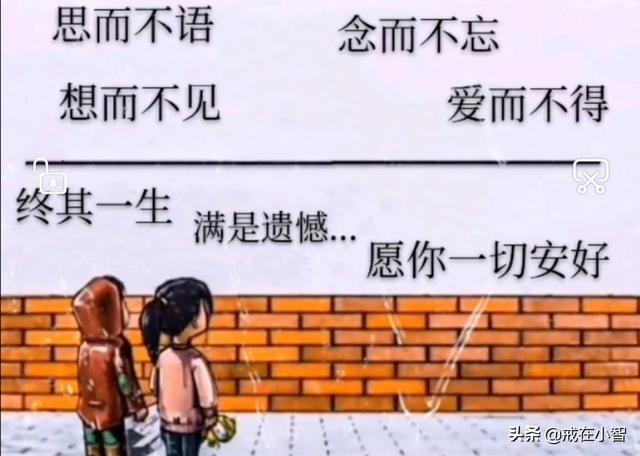 白月光是什么歌:白月光和朱砂痣分别指代什么？