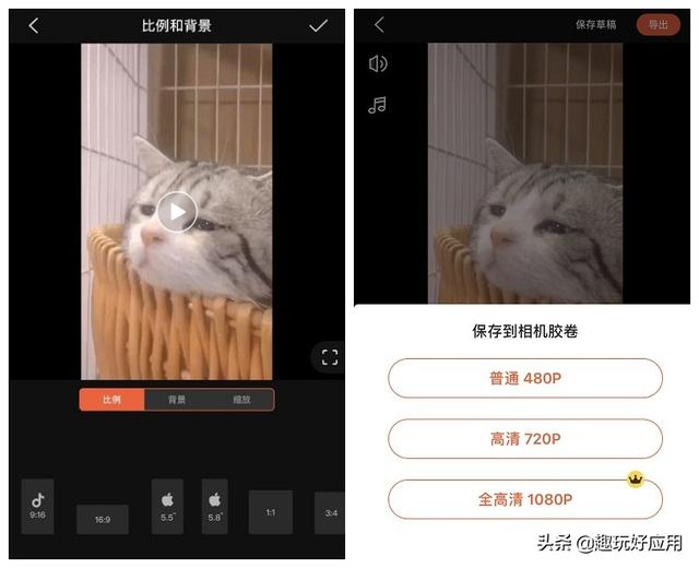 头条问答- 手机什么软件剪辑视频功能像PR一样完善，没有水印，高清MP4 