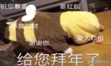 微信红包动图数字表情包:有什么比较有趣的拜年表情包？(给您拜年鞠躬表情包)