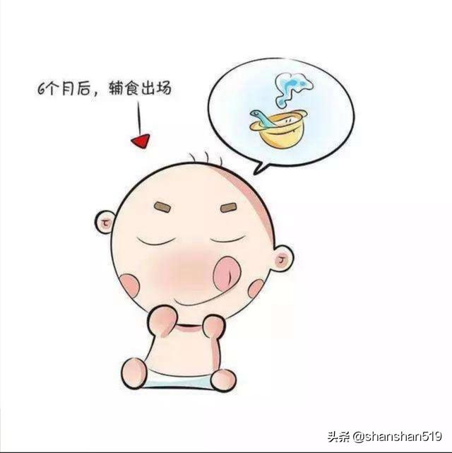 六个月的宝宝可以吃什么食物,有哪些好的建议吗？