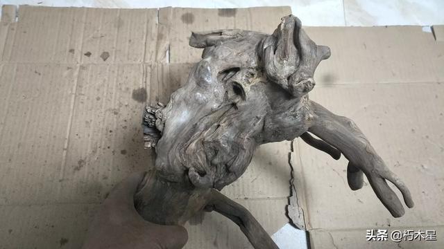 玉石雕刻培训去哪里学,想学习一门手艺该怎么找平台？