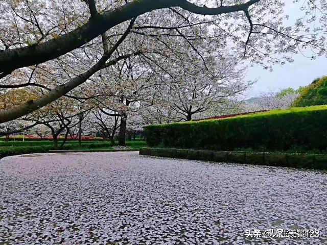 来自星川彼岸35:未婚夫谎报学历、工作经历，彩礼方面不诚实，该结婚吗？